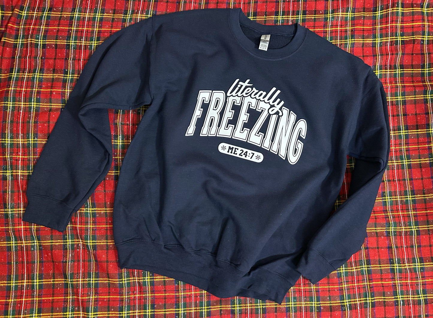 Literally Freezing Sweatshirt