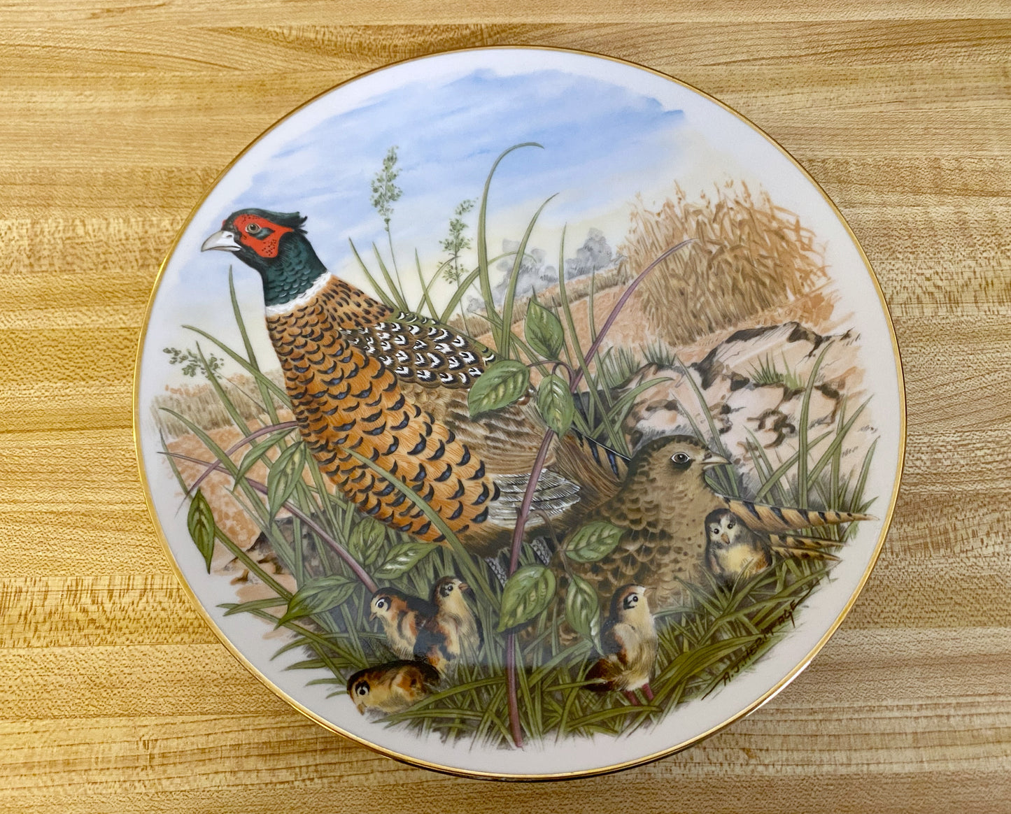 Game Birds of the South Decorative Plate: Ring-Necked Pheasant