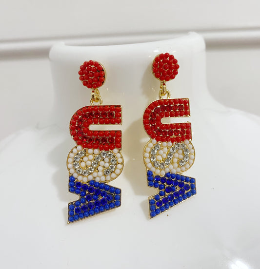 USA Earrings